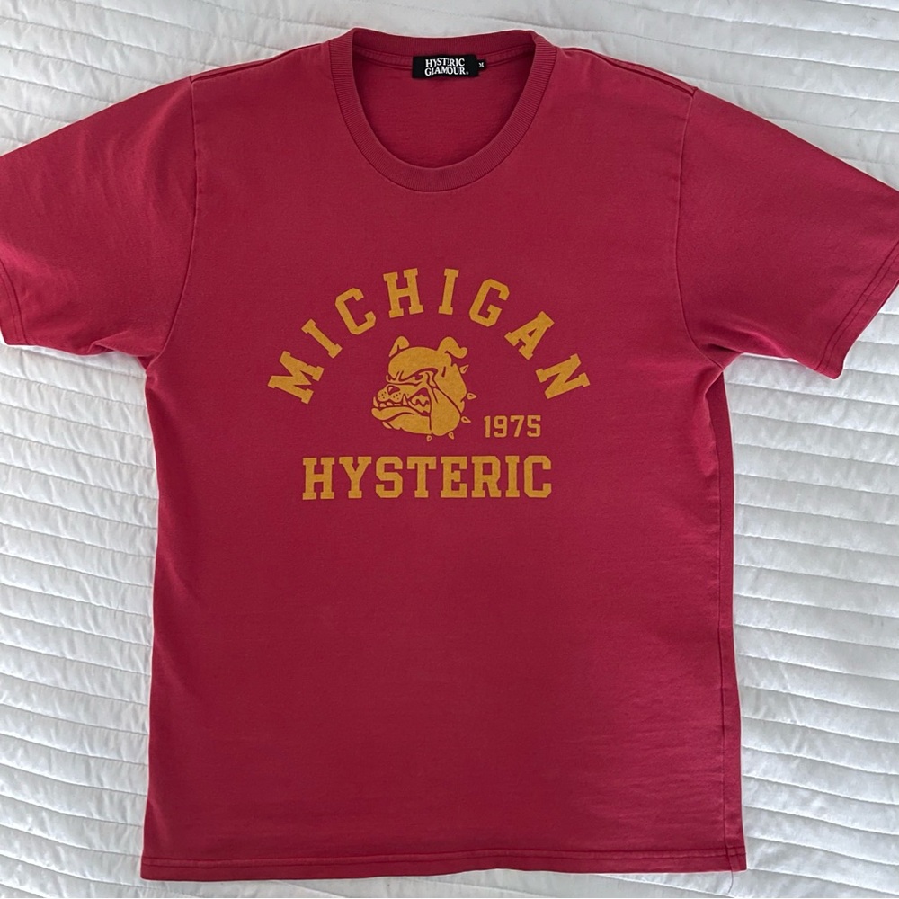 Vintage Hysteric Glamour Michigan Bull Dogs T-Shirt